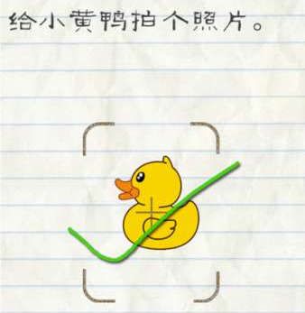 特朗普签令给予TikTok禁令75天宽限期，外交部回应